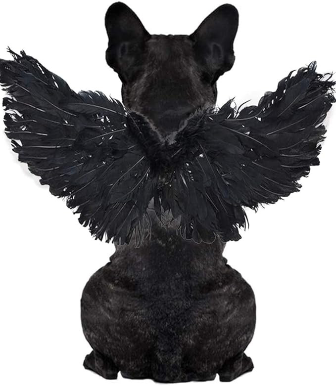 WeeH Pet Halloween Costume Cosplay Angel Devil Black White Wing for Dog Cat Rabbit Piggy - Funny ... | Amazon (US)