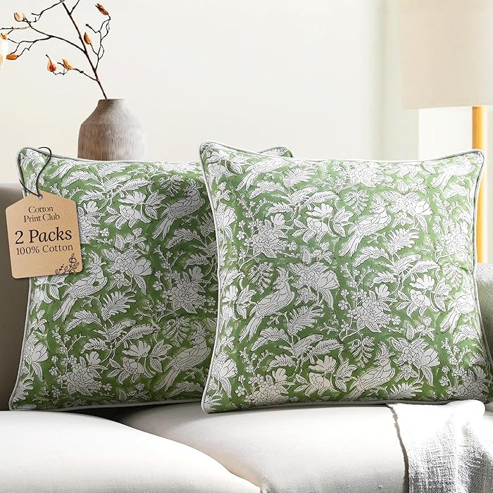 CPC 100% Cotton Throw Pillow Covers 18x18 Inch, Set of 2 Green Block Print Pattern Couch Pillow, ... | Amazon (US)