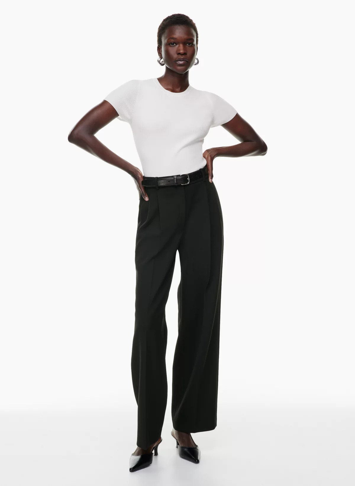 PLEATED PANT | Aritzia