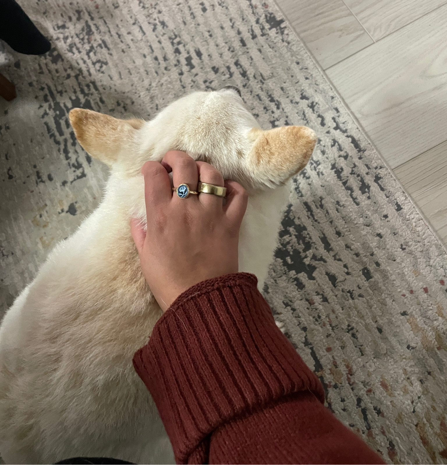 A fun and functional ring stack featuring my signet ring and Oura ring

#LTKU #LTKActive #LTKstyletip