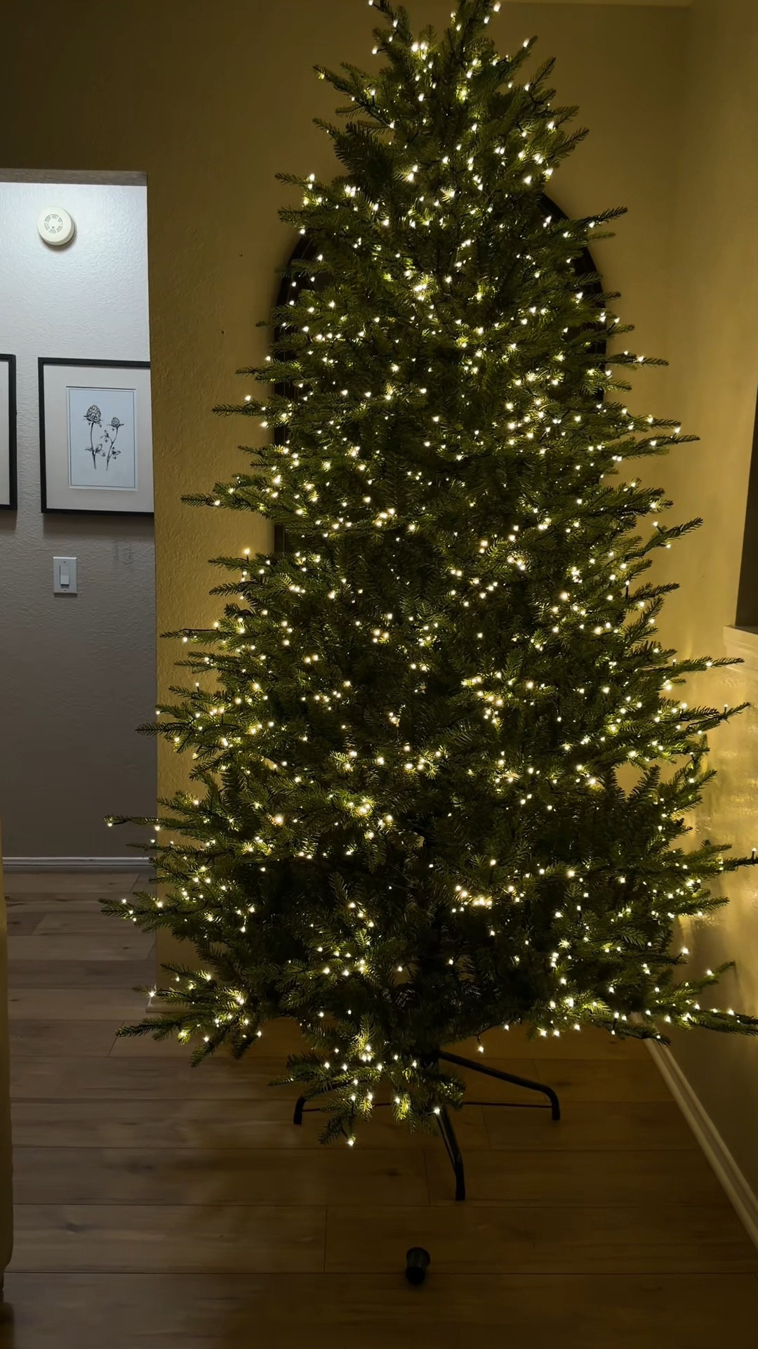 This tree is so beautiful. And a MAJOR plus is I didnt have to do any fluffing 🙌🏽

#LTKHome #LTKHoliday #LTKmomlife