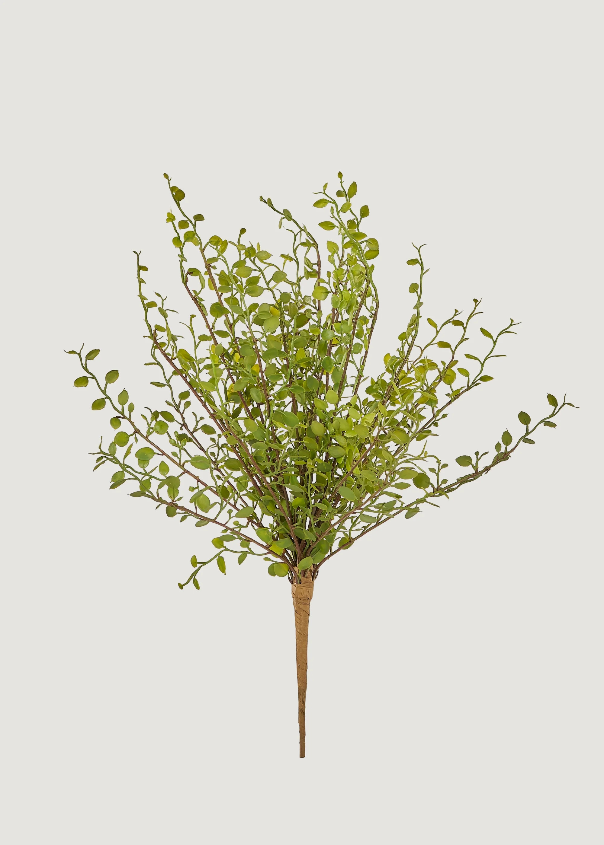 Fake Maidenhair Leaf Bush | Artificial Creeping Vine Plants | Afloral | Afloral
