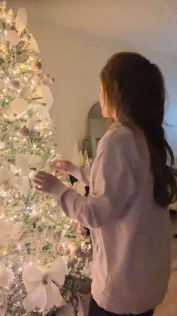 Finding a storage container to fit my fluffy tree has been nothing short of a pain in the butt. When I saw this bag that just zips around the whole tree, I immediately purchased it and it worked out perfectly!
🤍
Edit: Because I did this alone, I took it apart first and transported it in 3 pieces on the bag on the floor and pulled the bag downstairs where I was storing the tree than put the pieces back together and put the bag around it. I’ll post another video of how easy the bag goes around the tree!
🤍

Christmas tree storage, How to store your Christmas tree, Easy way to store your Christmas tree, Christmas tree bag

#LTKhome #LTKfindsunder50 #LTKSeasonal