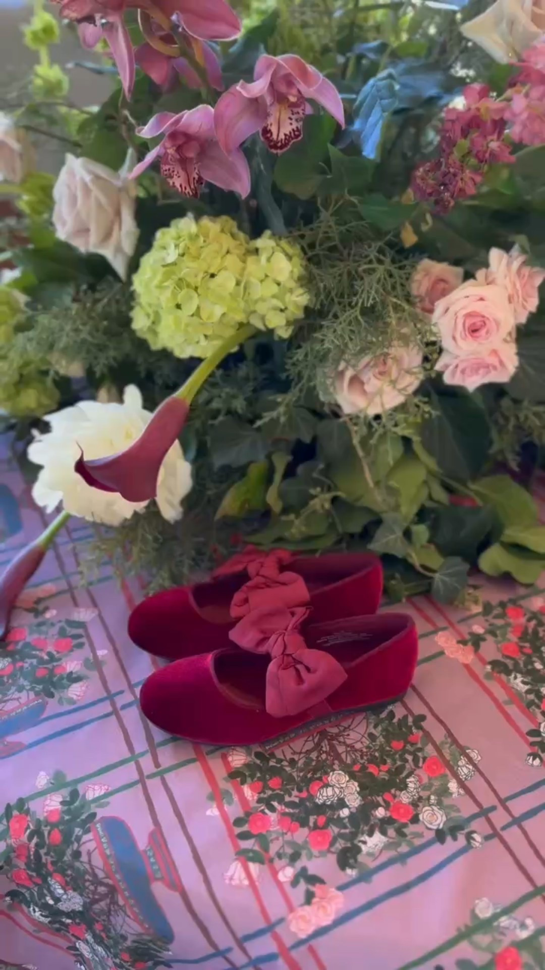 Target Red Velvet Bow Shoes for Christmas! 

Girls shoes, target finds, holiday 

#LTKShoeCrush