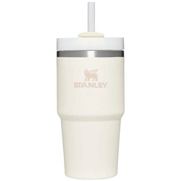 Stanley 20oz Stainless Steel H2.0 FlowState Quencher Tumbler | Target