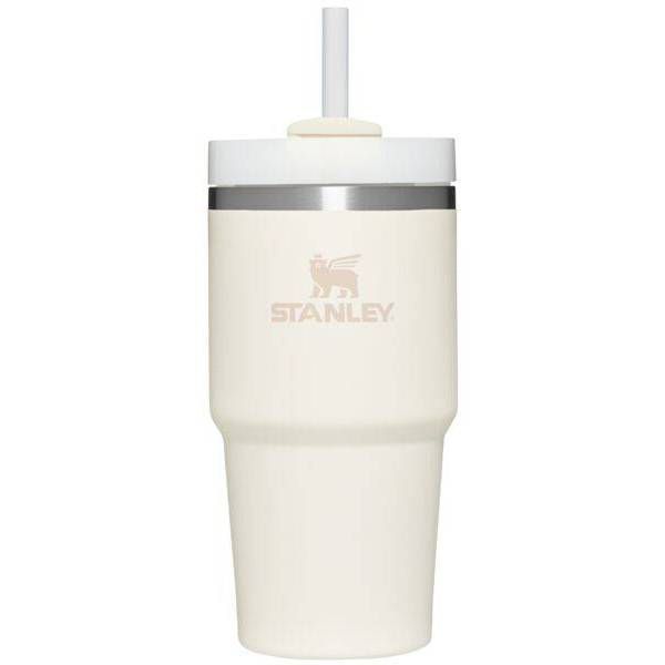 Stanley 20oz Stainless Steel H2.0 FlowState Quencher Tumbler | Target