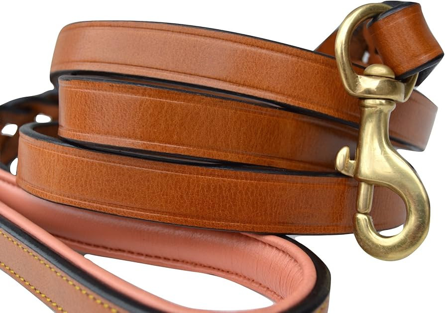 Soft Touch Collars Leather Braided Dog Leash, Tan and Coral, 6 Feet x 3/4 Inch Wide, Genuine Real... | Amazon (US)