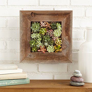 Succulent Living Wall Planter Kit | Uncommon Goods