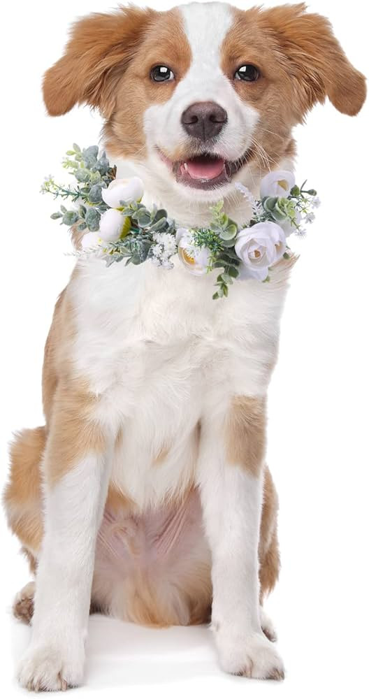 Dog Wedding Flower Collar Dog Wedding Attire Wreath Bow, for Weddings Flower Ring Pets Cats and D... | Amazon (US)