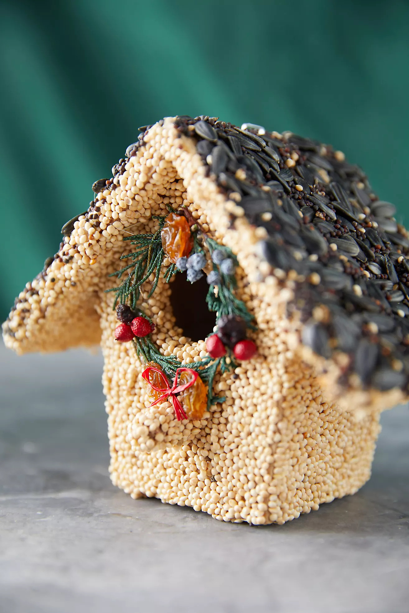 Bird Seed Cottage | Terrain