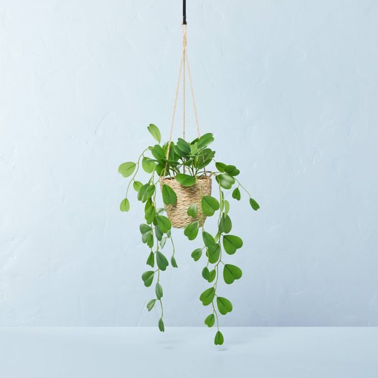 Faux Hoya Leaf Hanging Basket Arrangement - Hearth & Hand™ with Magnolia | Target