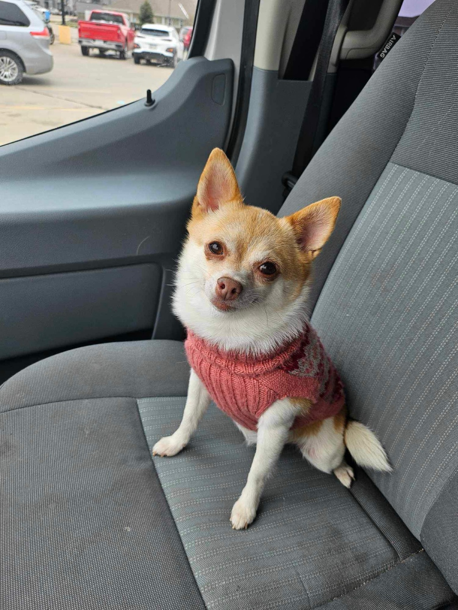 Linked similar sweaters🐾