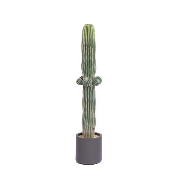 Keper 54.34'' Faux Cactus Tree in Ceramic Pot | Wayfair North America