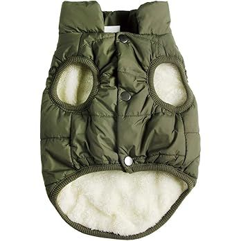 JoyDaog Fleece Lined Warm Dog Jacket for Winter Cold Weather,Soft Windproof Medium Dog Coat,Green... | Amazon (US)