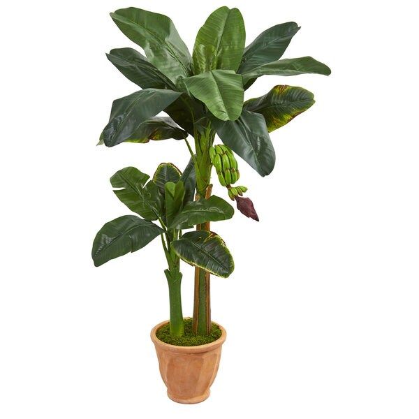 Nearly Natural Double Stalk Banana 5-foot Artificial Tree in Terracotta Planter | Bed Bath & Beyond