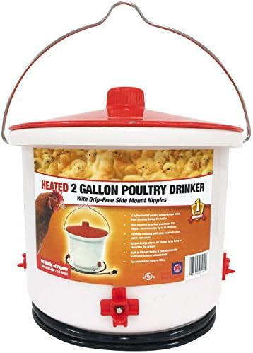 Farm Innovators HB-60P Heated 2 Gallon Poultry Drinker | Amazon (US)