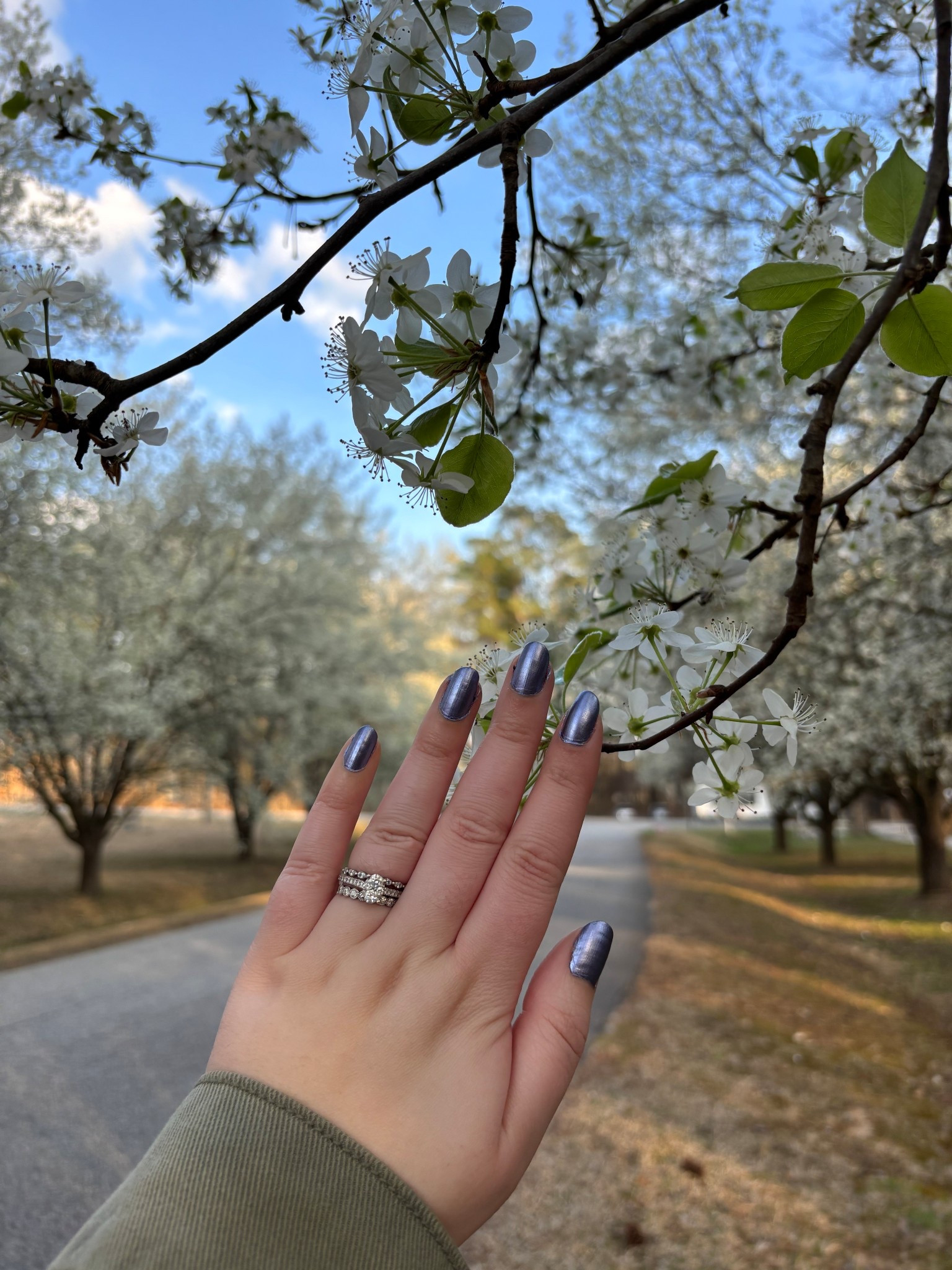 Happy St.Patrick’s Day! Wearing Sally Hansen’s Sky Fi foil finish nail polish this week for mani Monday💜💜💜
•
•
•
#manimonday #sallyhansen #sallyhansenskyfi #skyfi #nails #stpatricksday #nailpolish #purple #purplenails #nailsoftheweek #nailinspo #nailcolor #springnails #athomemani #nailinspiration #springtime #nailsoftheday #manicure #naturalnails 

#LTKSpringSale #LTKSeasonal #LTKStyleTip