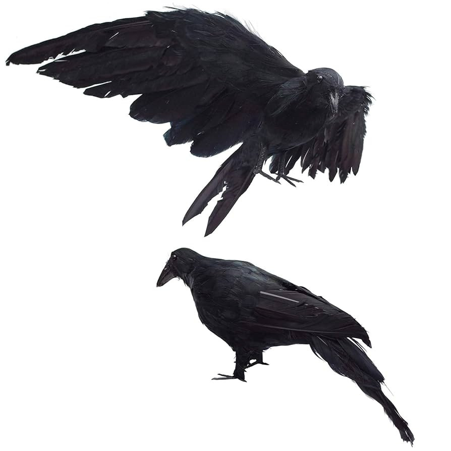 2-Pack Realistic Crows Lifesize Extra Large Handmade Black Feathered Crow for Halloween Decoratio... | Amazon (US)
