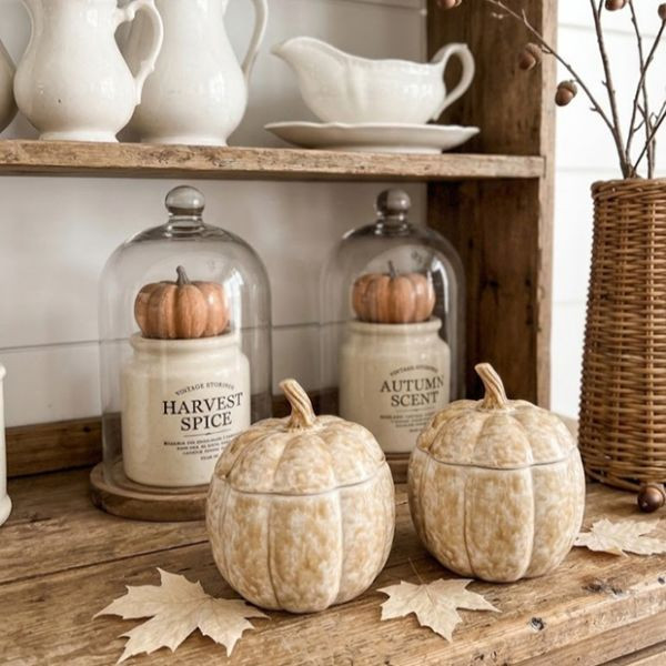 Harvest Pumpkin Stoneware Jar Set of 2 | Antique Farm House