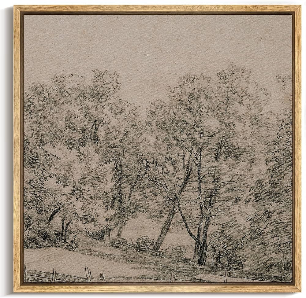 MUDECOR Framed Canvas Print Wall Art Vintage Rustic Forest Sketch - Vintage Drawing Illustrations... | Amazon (US)