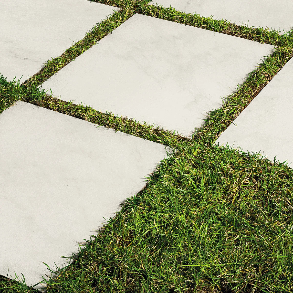 Hercules Calacatta Look 24" x 24" Porcelain Paver | Wayfair North America