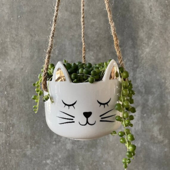 Hanging Cat Planter Pot for Succulents & Plants  Animal | Etsy | Etsy (US)