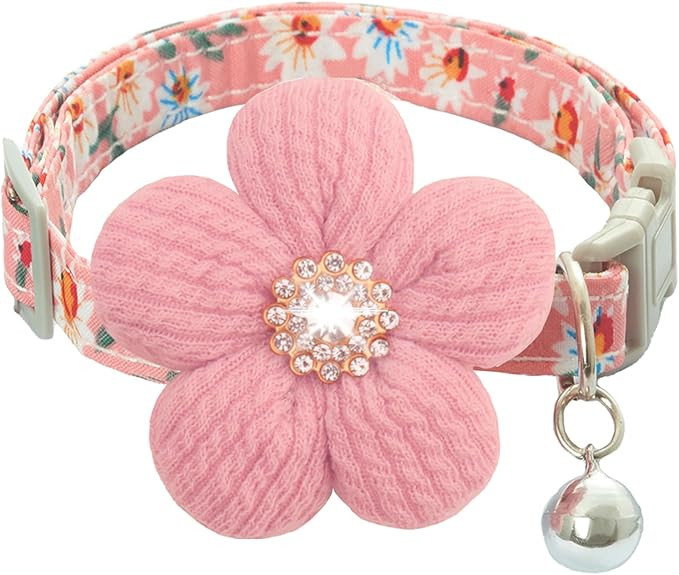 Small Dog Collar with Flower, Puppy Collar for Girl Dog Collars for Small Dogs Cute Dog Collar wi... | Amazon (US)