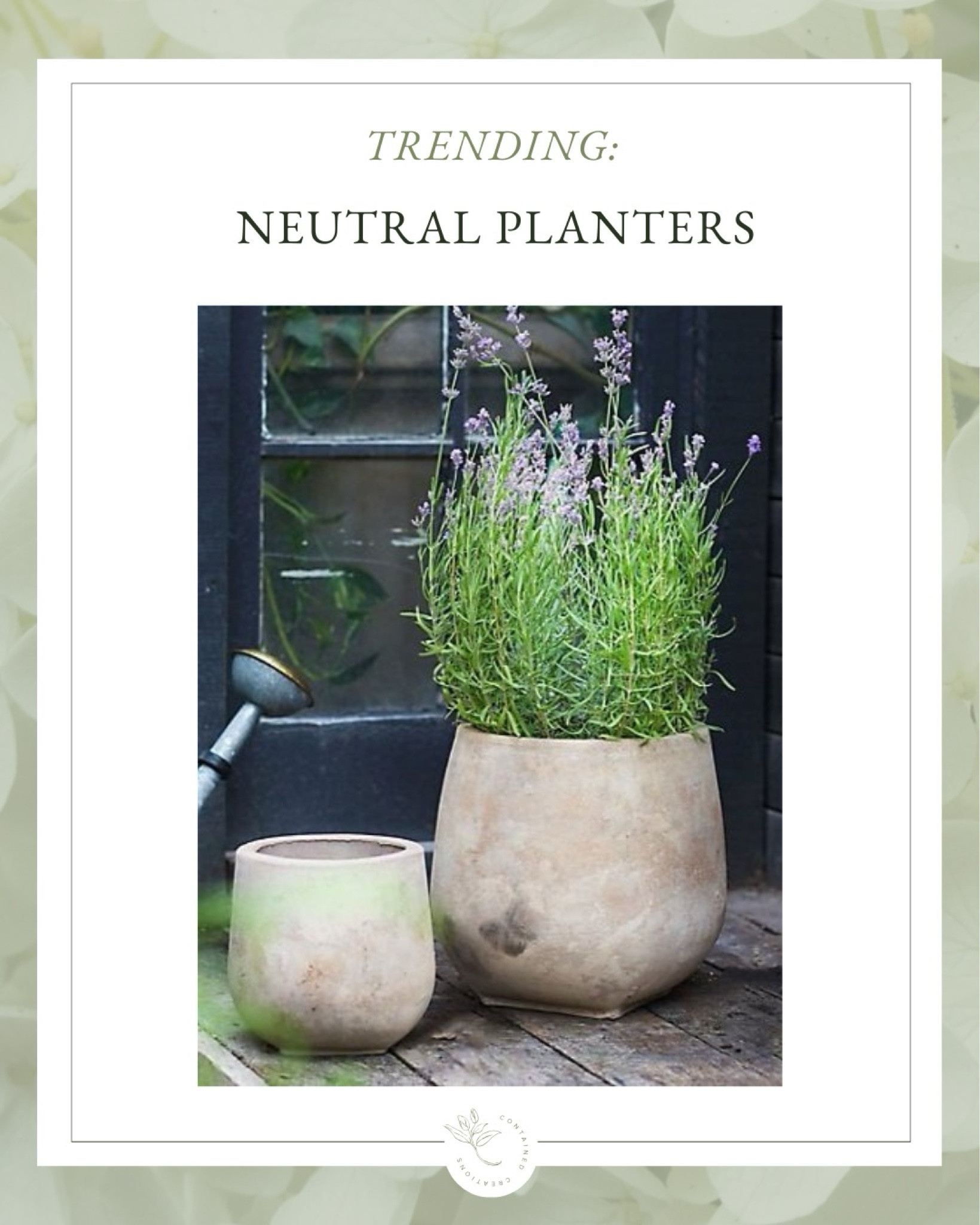 Outdoor pots in soft, warm neutrals look beautiful with any plants you choose!

#LTKstyletip #LTKSeasonal #LTKhome