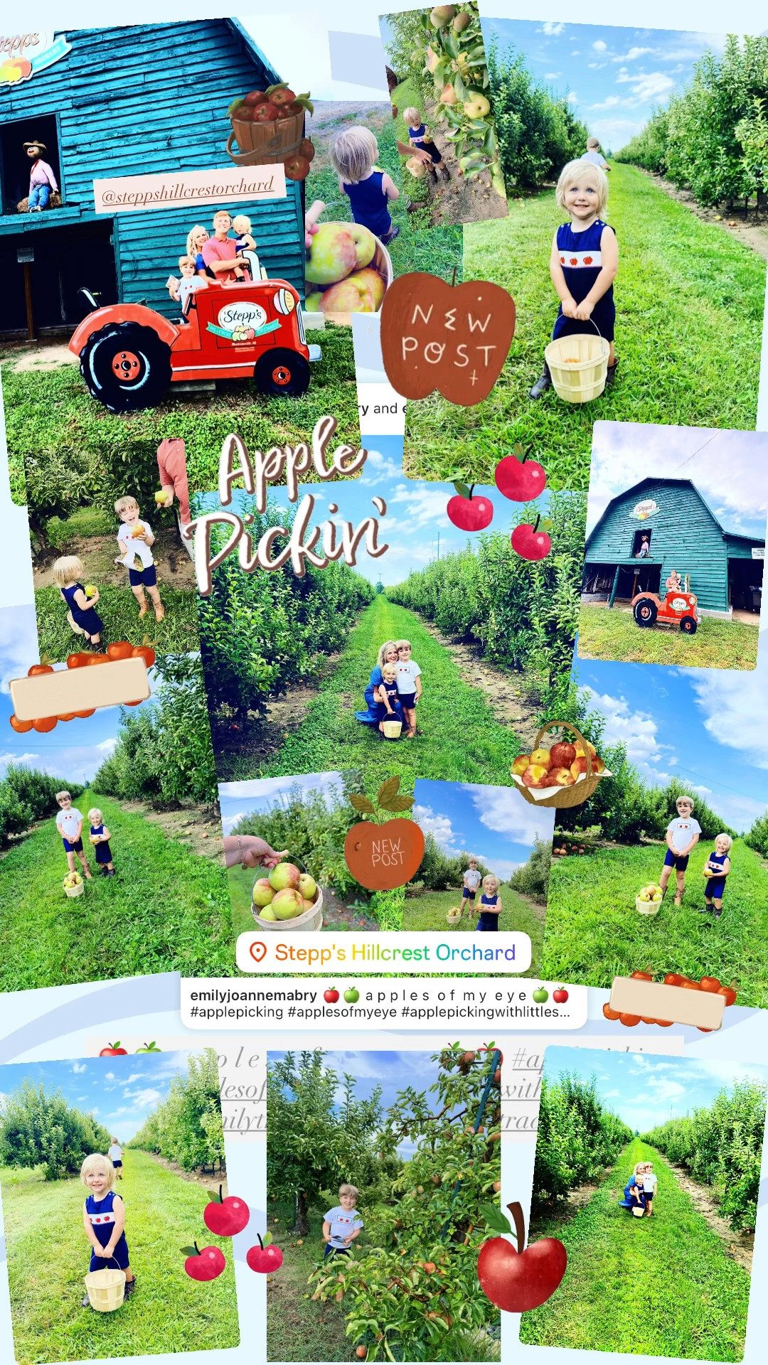 🍎🍏 a p p l e s  o f  m y  e y e 🍏🍎 #applepicking #applesofmyeye #applepickingwithlittles #familytraditions #lateaugusttradition