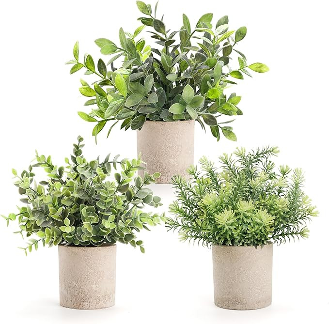 Der Rose 3 Pack Mini Potted Fake Plants Artificial Plastic Eucalyptus Plants Topiaries for Home O... | Amazon (US)