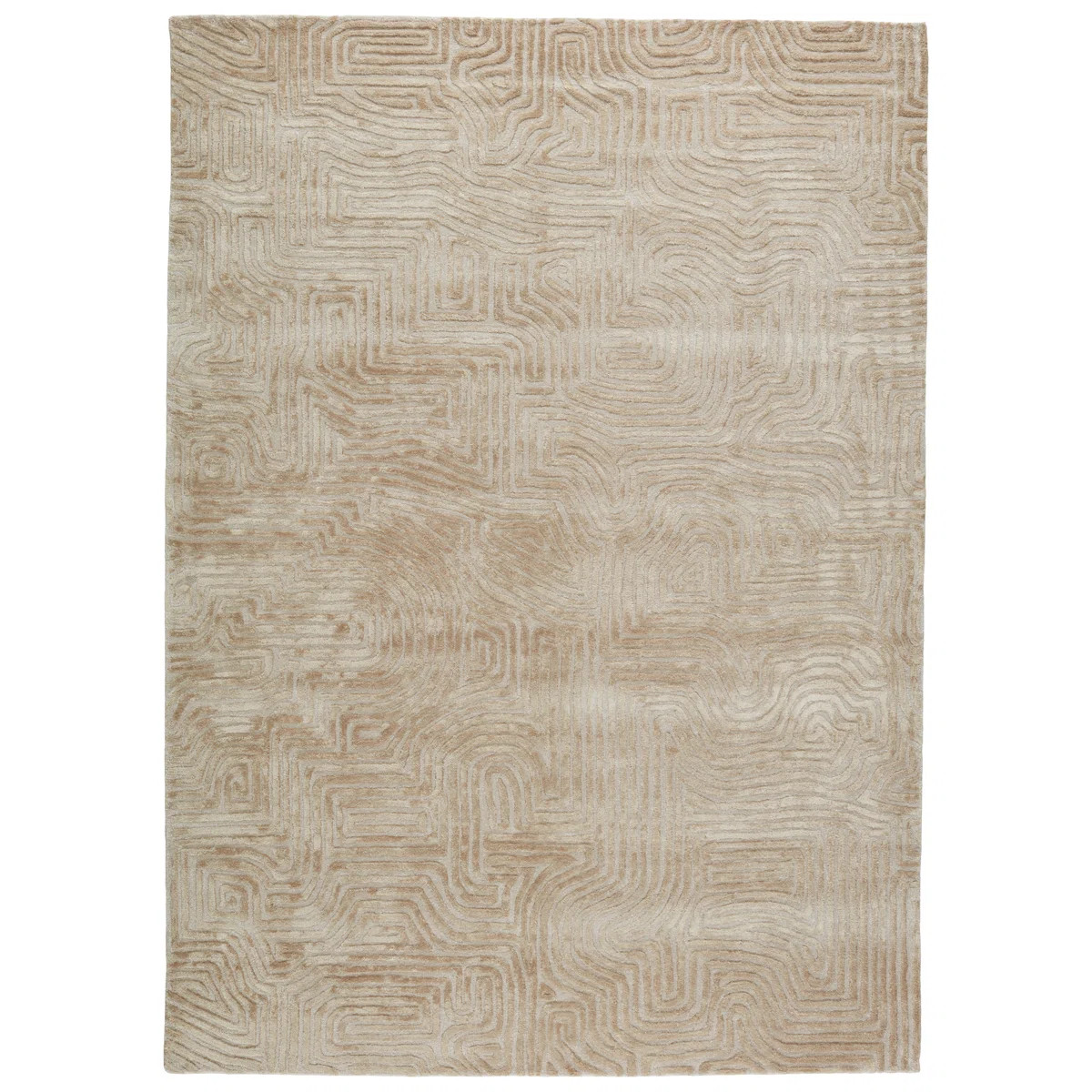 Abstract Indoor Rug | Wayfair North America