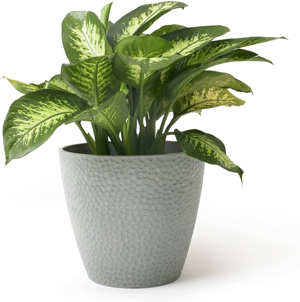 LA JOLIE MUSE Outdoor Indoor Tree Planters - 14 Inch Large Planter Flower Pots Containers, Plant ... | Amazon (US)