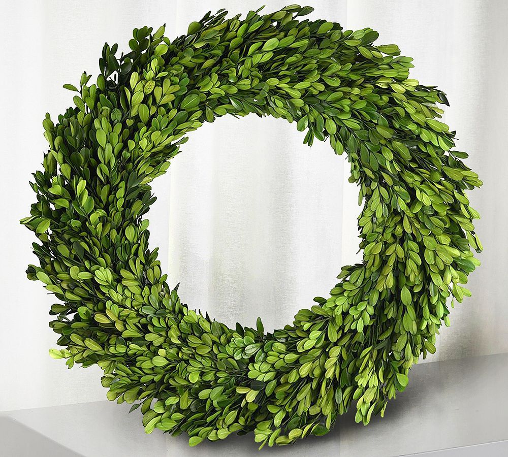 Preserved Boxwood Wreath | Pottery Barn (US)