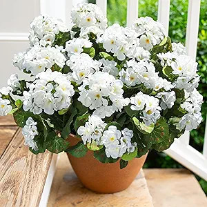 Artificial Geranium Fake Flowers for Outdoors Decoration, 6 Bundles Silk Geraniums White Flower U... | Amazon (US)