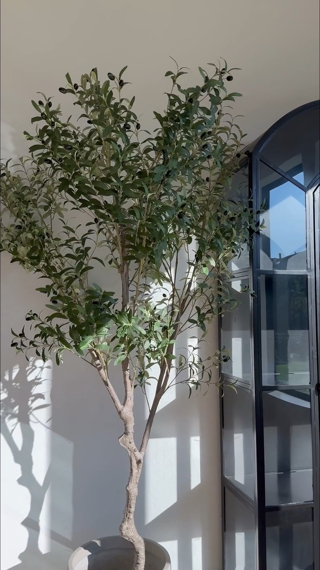 This stunning olive tree comes in two sizes and is perfect for adding greenery to any space! The planter comes in 3 sizes and comes in various colors! 

Shop below! 🫶🏽🤍🫶🏽

#LTKSaleAlert #LTKStyleTip #LTKHome