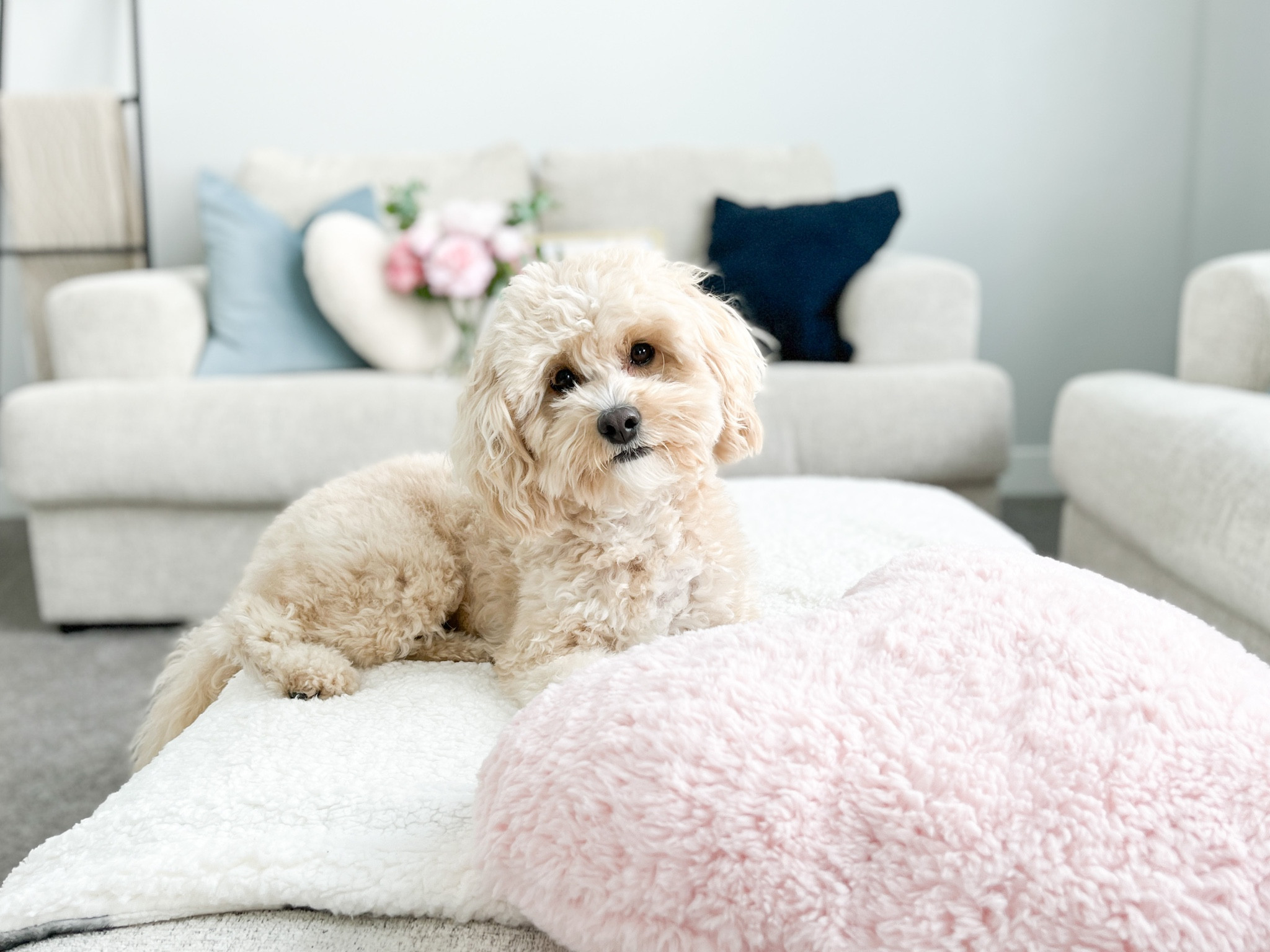 Perfect home decor for your Valentines 💕

 

#LTKSeasonal #LTKGiftGuide #LTKFind