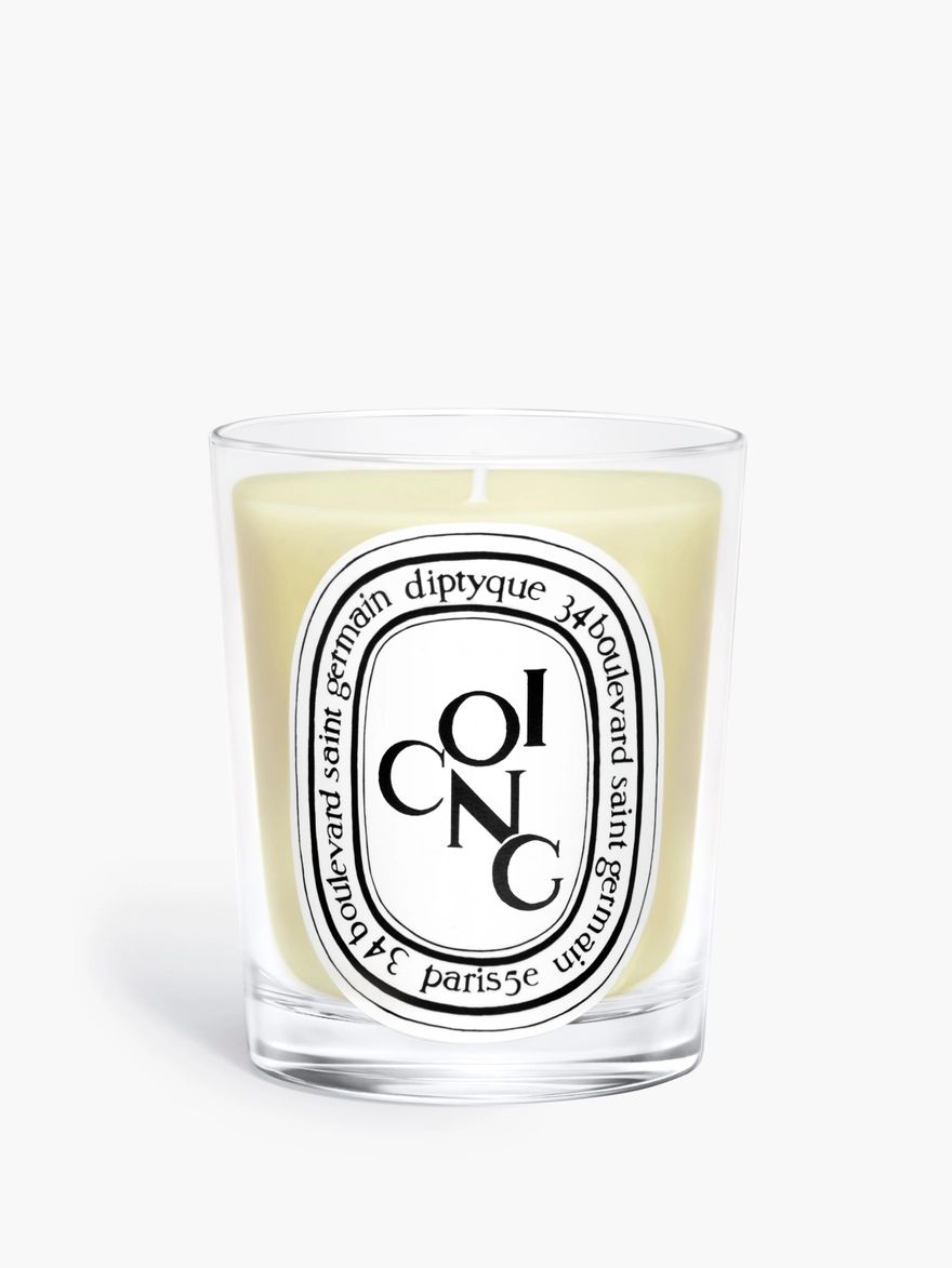 Coing (Quince)
            Classic Candle | diptyque (US)