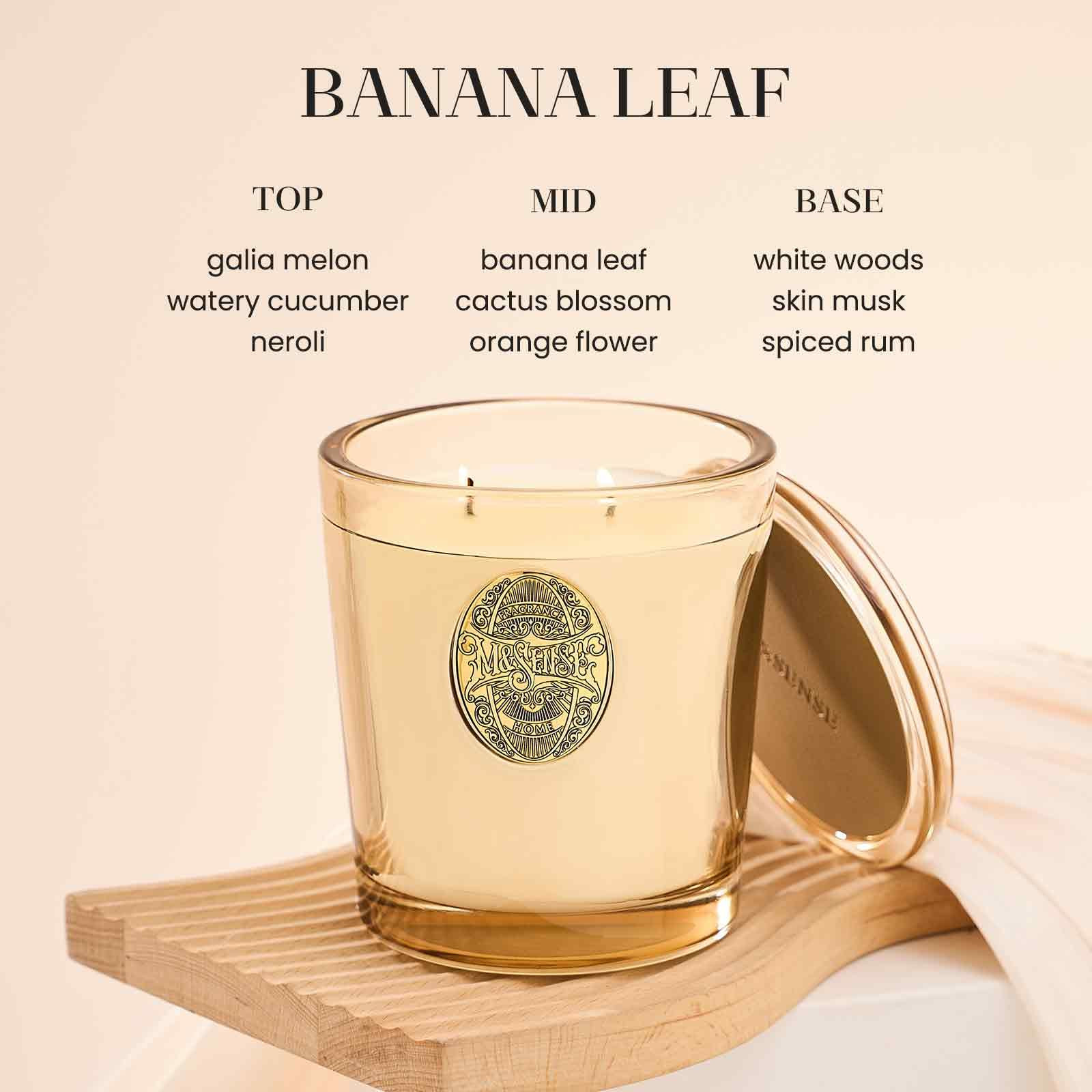 M&SENSE Large Two-Wick Soy Candle | Banana Leaf & Gold | 19.8 oz, 120H Burn Time | Luxury Scented... | Amazon (US)
