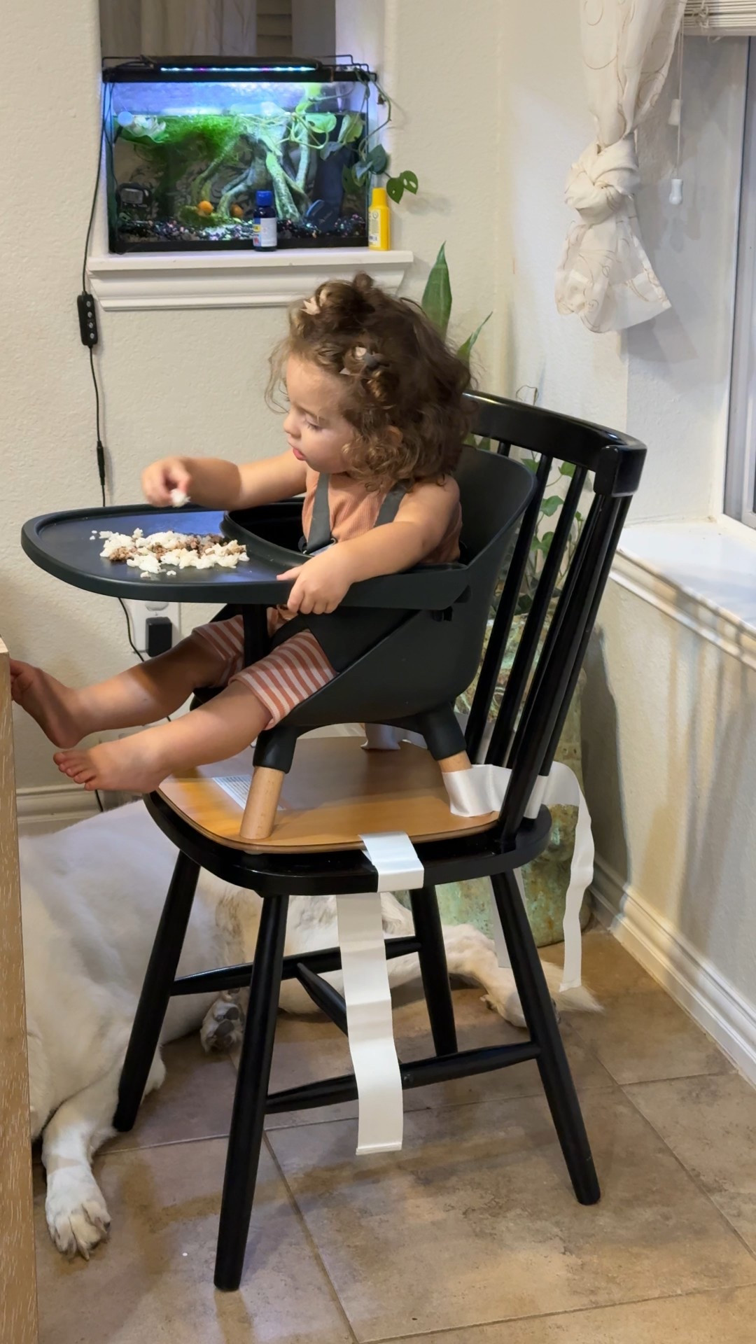 Converted out Lalo highchair to attach to our dining chair and she loves it! 