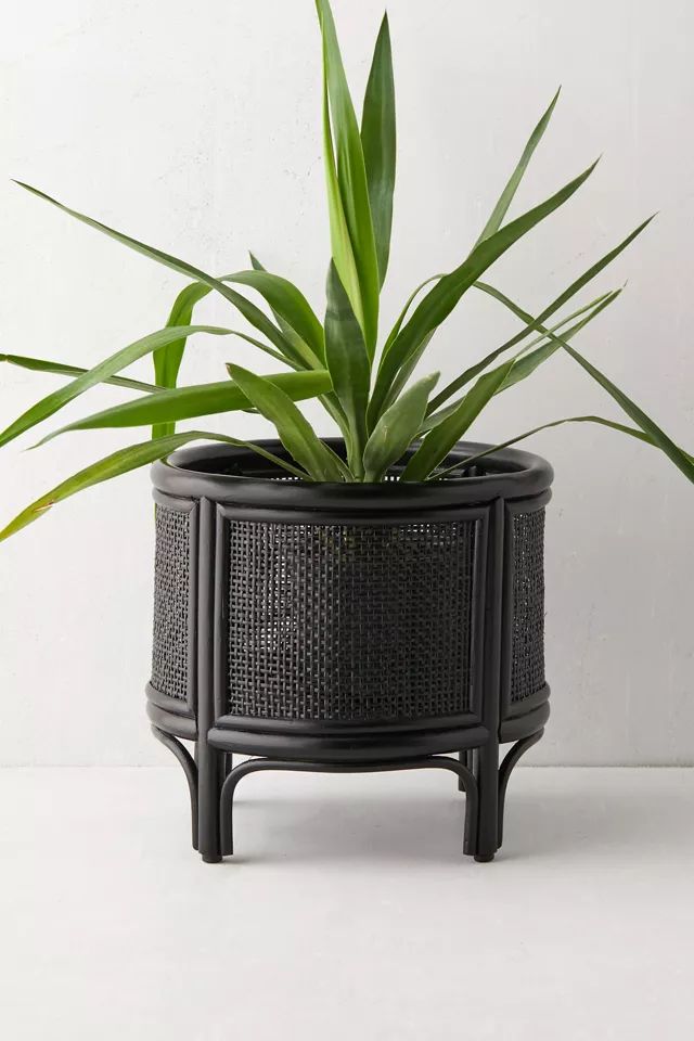 Rattan 12" Planter | Urban Outfitters (US and RoW)