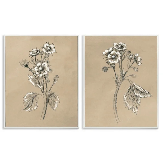 Stupell Industries Vintage Sketch Botanical Plants & Flowers Drawing White Framed Art Print Wall ... | Walmart (US)