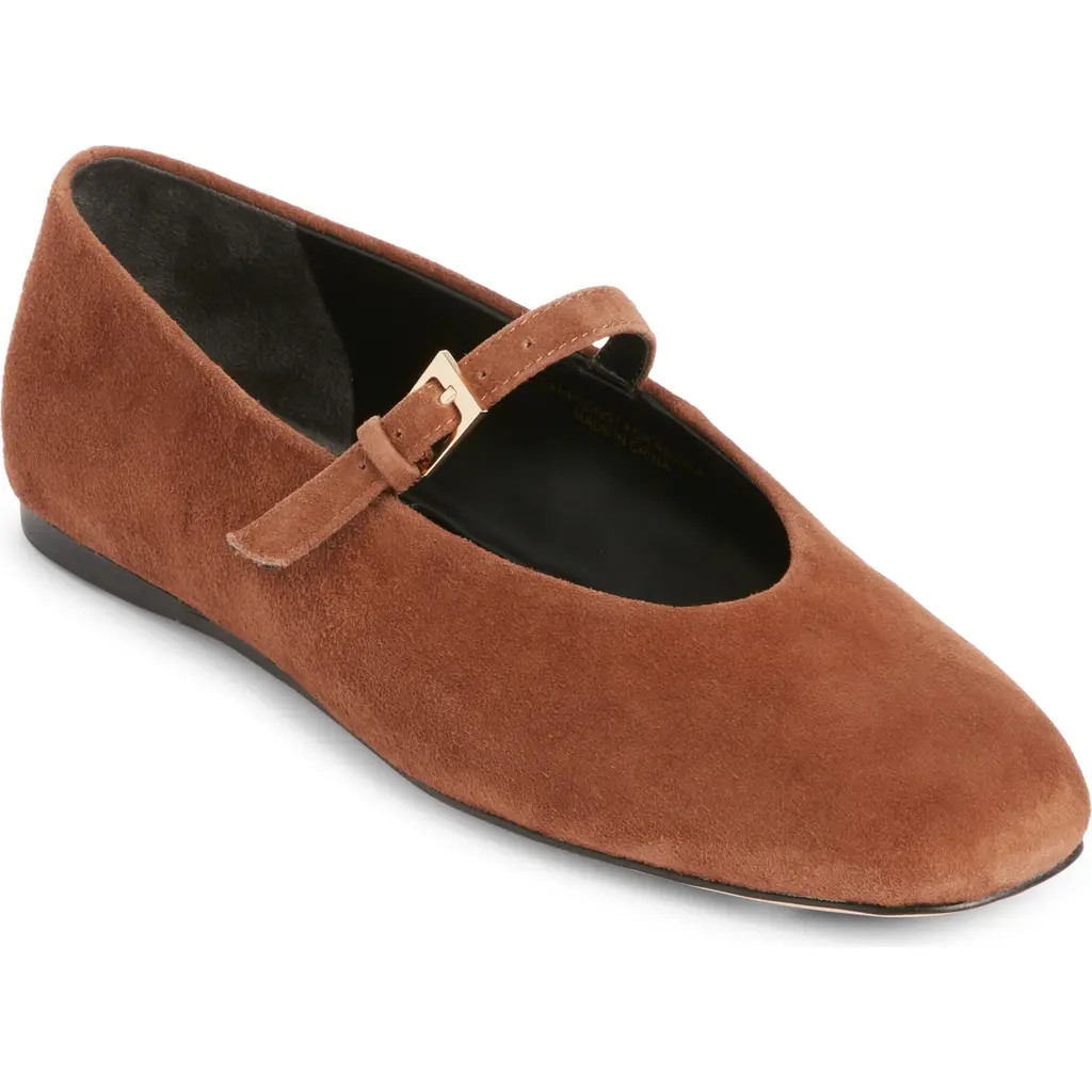 Nordstrom Maraise Ballet Flat in Brown Mage at Nordstrom, Size 11 | Nordstrom