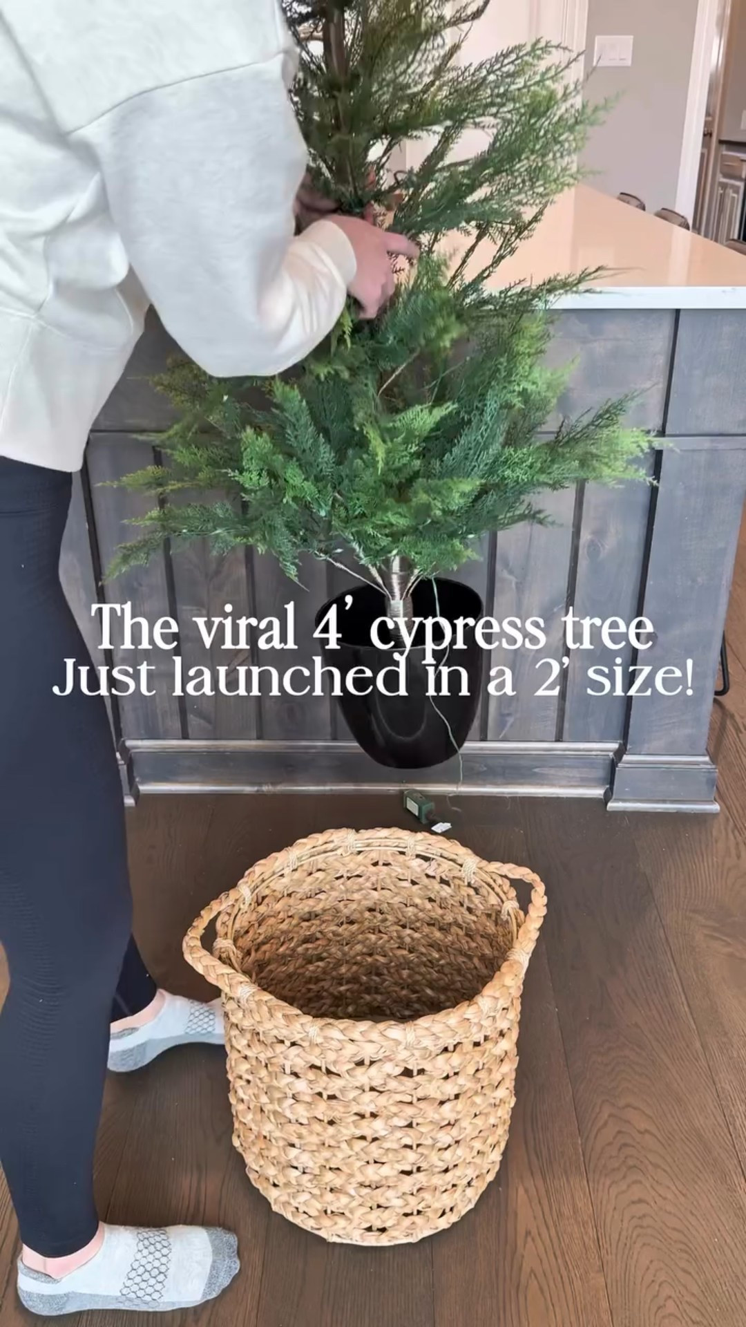 Walmart continues to out-do itself! This 2' tree is absolutely gorgeous! 🎄

#walmarttree #viraltree #christmasdecor #holidaydecor #cypresstree 

 

#LTKSeasonal #LTKHome #LTKStyleTip