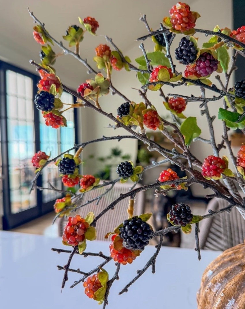 Wild blackberry branch 
Fall stems

#LTKHome #LTKSeasonal