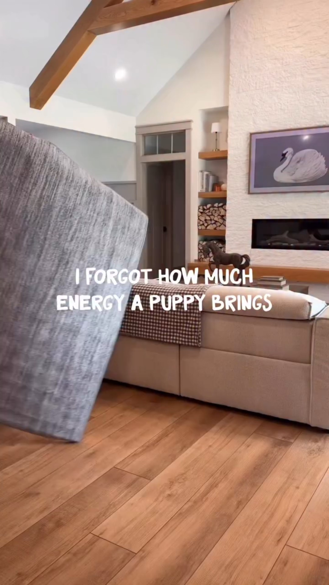 Check out my story highlight called SOPHIA 🐾💕 Comment ‘SHOP IT’ and I’ll send you the 🔗 to your messages.

Puppy finds, new puppy, puppy life, Amazon finds, Amazon, puppy playpen, dog must haves #australianlabradoodle #puppylove🐶 #miniaustralianlabradoodle #doodlesofinstagram