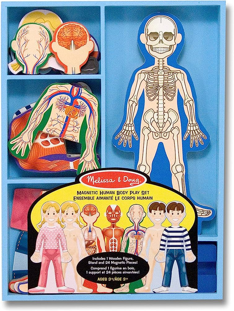 Melissa & Doug Magnetic Human Body Anatomy Play Set With 24 Magnetic Pieces and Storage Tray - Hu... | Amazon (US)