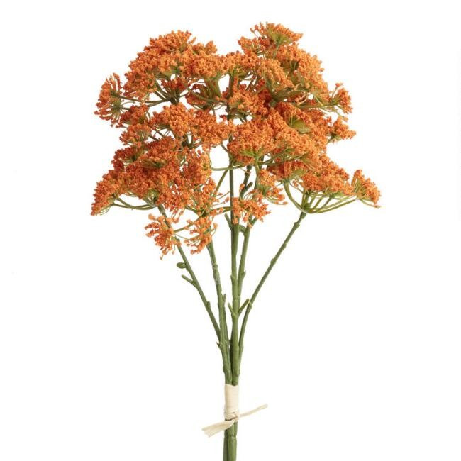 Faux Terracotta Queen Anne's Lace Bunch | World Market