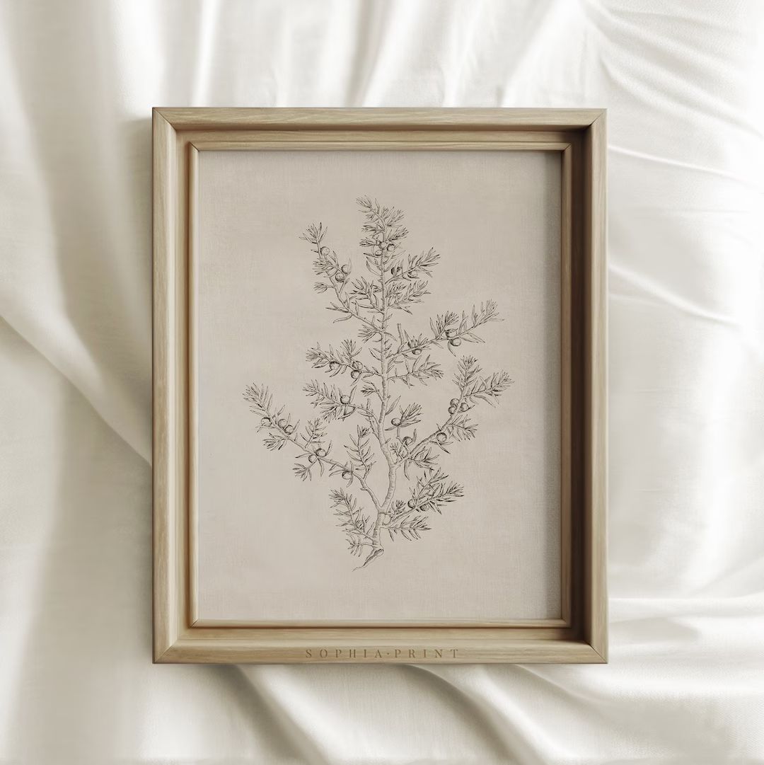 Olive Branch Etching Print, Vintage Neutral Sketch Wall Art, Beige Botanical Drawing, MAILED ART ... | Etsy (CAD)