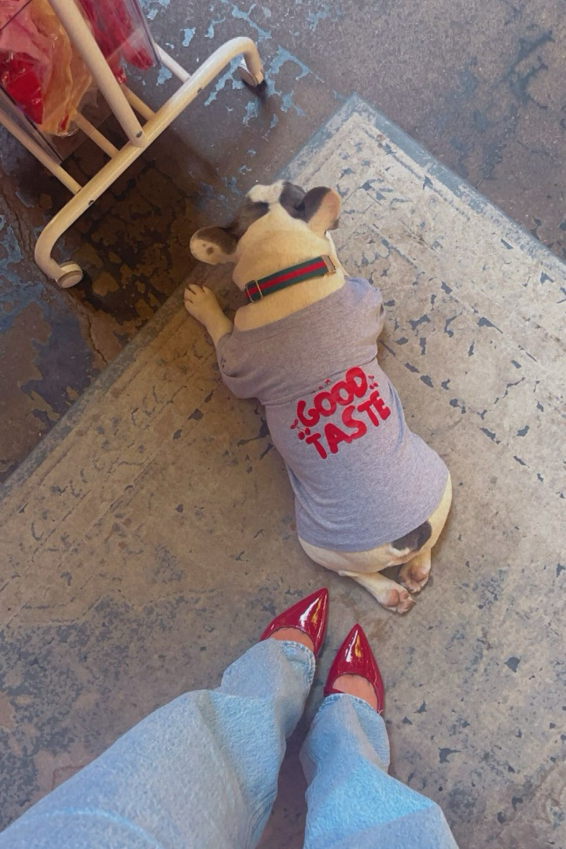 these $35 kitten heels >>>> 

#LTKSeasonal #LTKStyleTip #LTKFindsUnder50