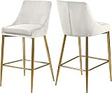Meridian Furniture Karina Collection Modern | Contemporary Velvet Upholstered Counter Stool with Pol | Amazon (US)